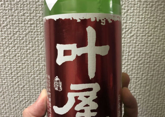 alt 1