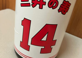 alt 1