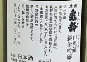 alt 3
