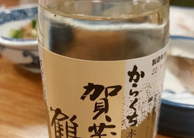 alt 1