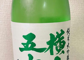 alt 1