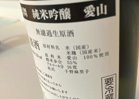 alt 3