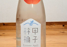alt 1