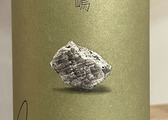 alt 1