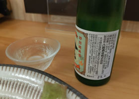 alt 4