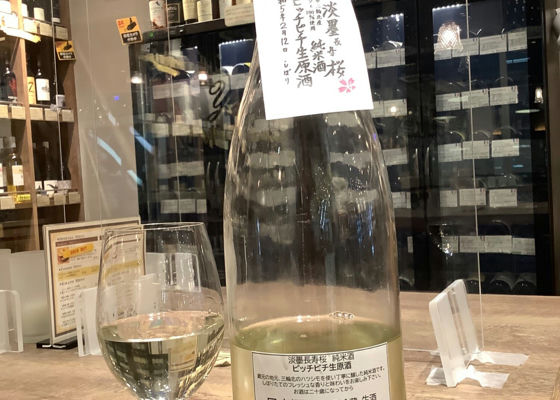 淡墨桜