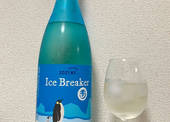 Ice Breaker 签到 1