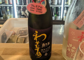 わかむすめ チェックイン 4