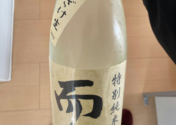 alt 1