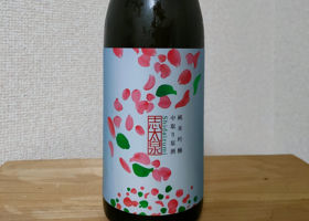 志太泉 チェックイン 1