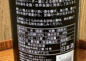 alt 3