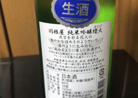 alt 2