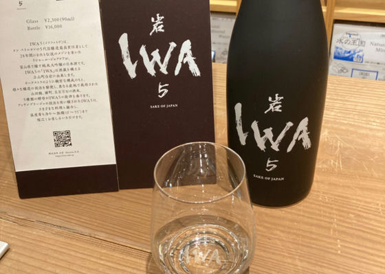 IWA5 Check-in 1