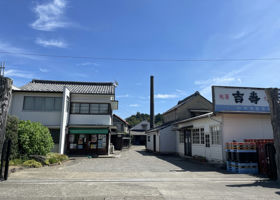 alt 3