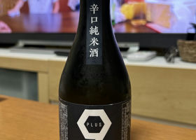 辛口純米酒 PLUS9 チェックイン 2