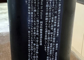 alt 2