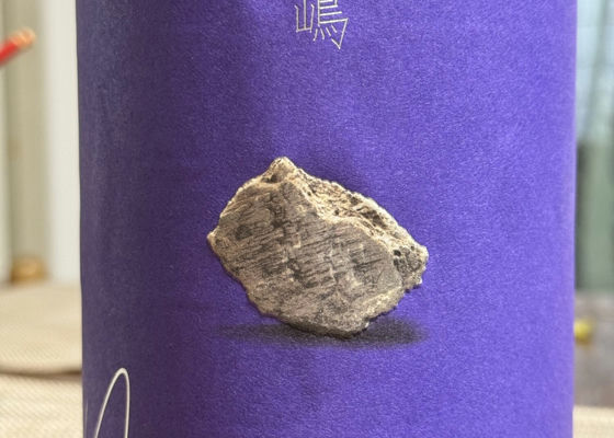 alt 1