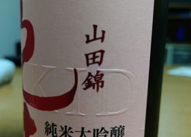 alt 3