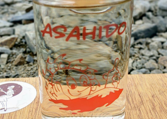 alt 1