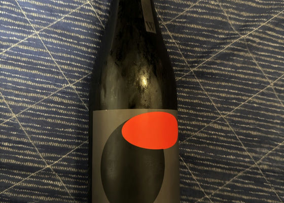 alt 1