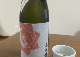 alt 1