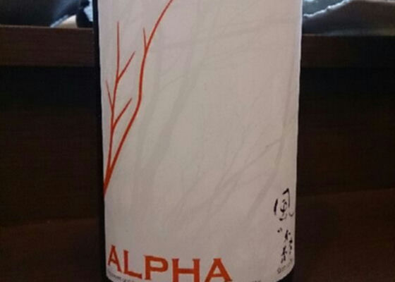 風の森 alpha 签到 1