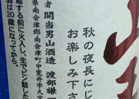 alt 3