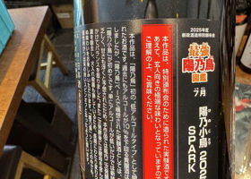 alt 3