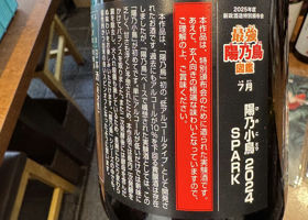 alt 3
