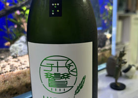 alt 1