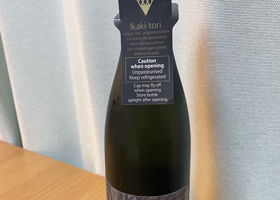alt 1