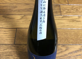 alt 3