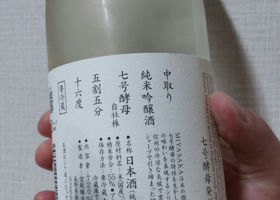 alt 3