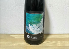alt 1
