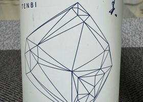 alt 1