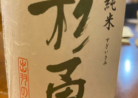 alt 1