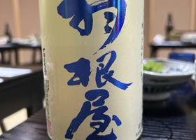 alt 1