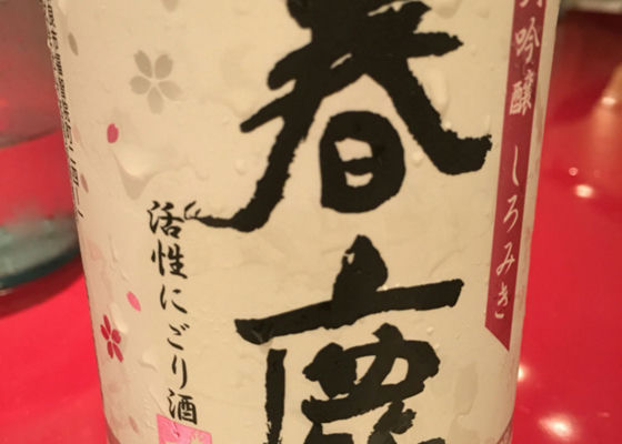 alt 1
