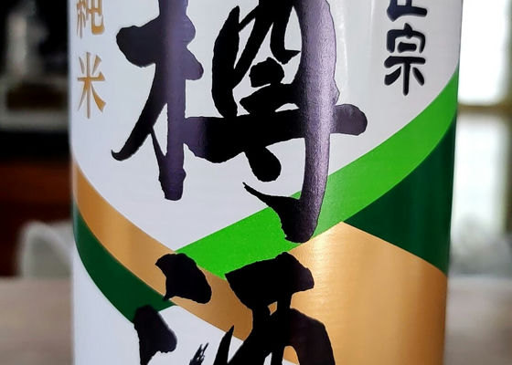 alt 1
