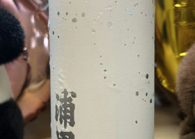alt 3