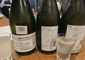 alt 2