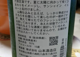 alt 3