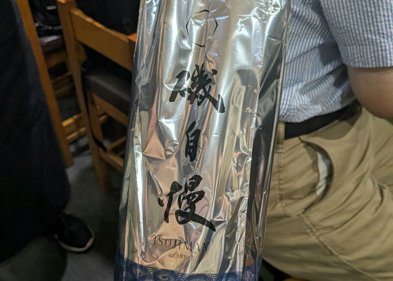 alt 1