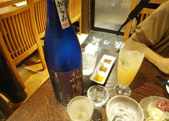 alt 1