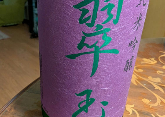 alt 1