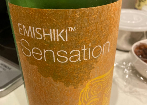 Emishiki Check-in 1