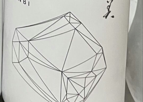 alt 1