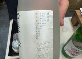 alt 3