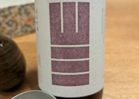 alt 3