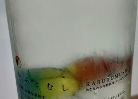 alt 1